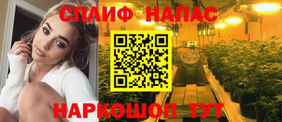 молекула духа Донской