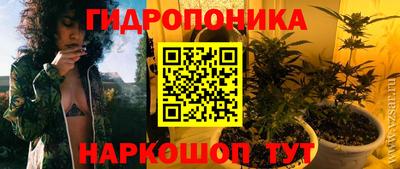 молекула духа Донской