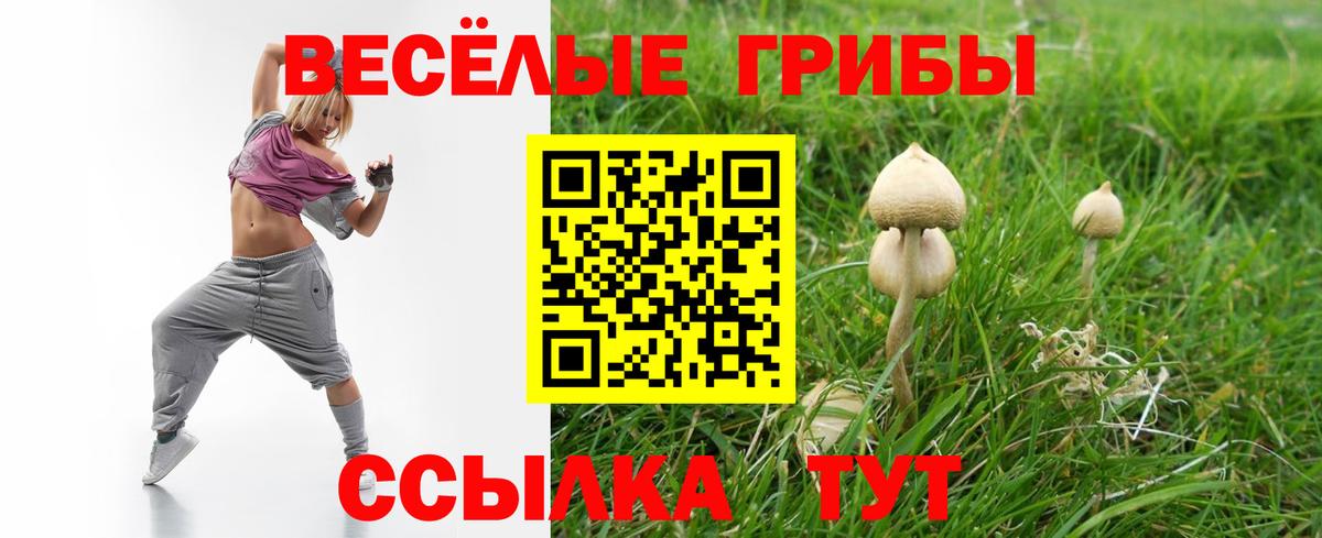 Галлюциногенные грибы мицелий  Вход с VPN  Галлюциногенные грибы Magic Shrooms  Мариинск 